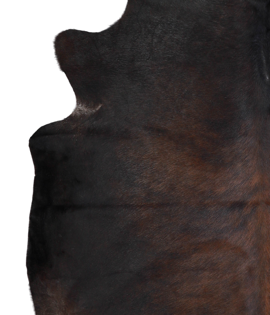 Chocolate X-Large Brazilian Cowhide Rug 6'10"H x 6'6"W #A21633 by Huds