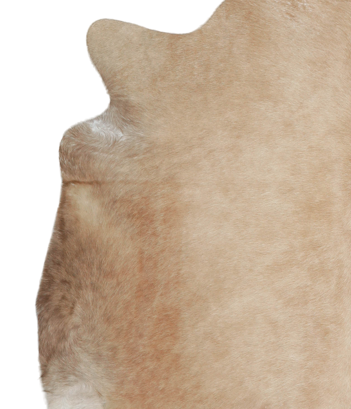 Beige X-Large Brazilian Cowhide Rug 6'5"H x 6'4"W #A21642 by Hudson Hides
