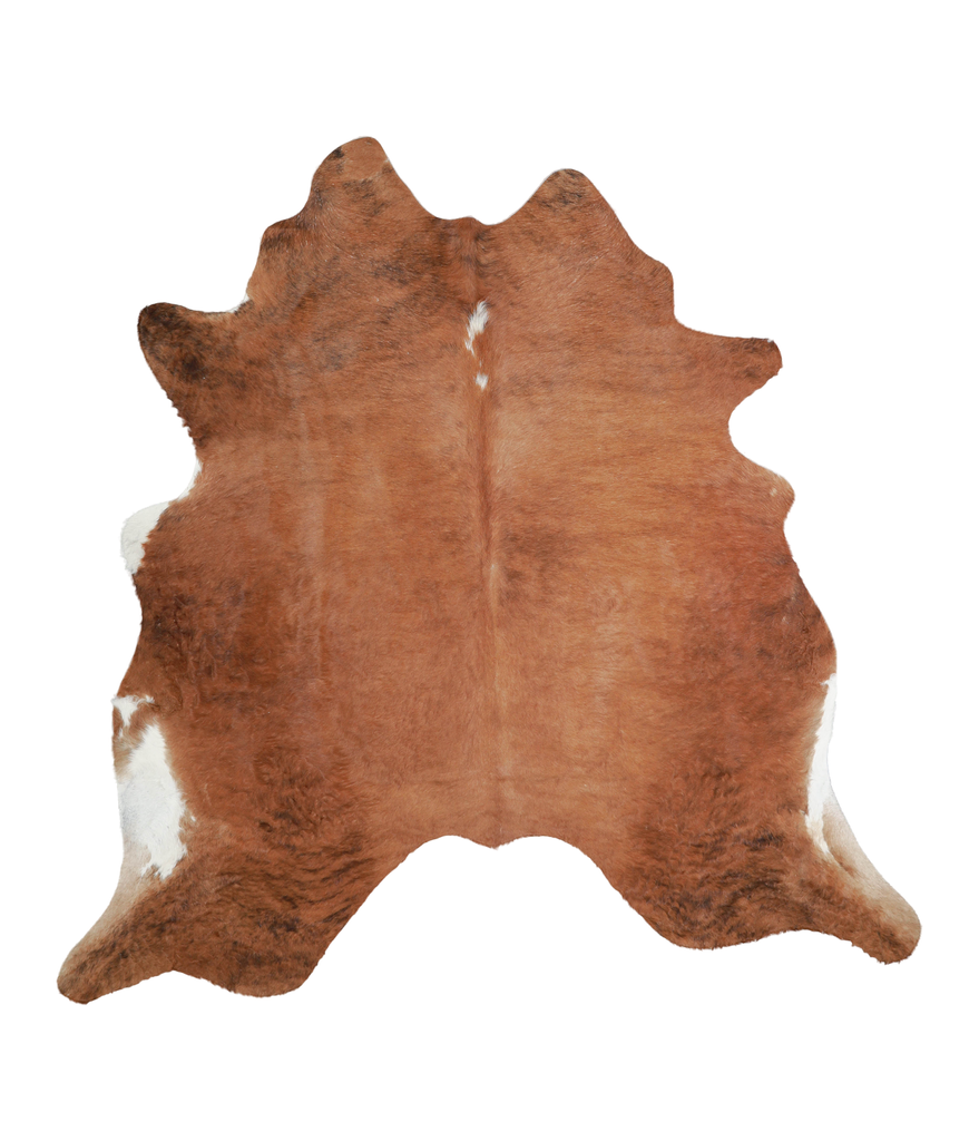 Medium Brindle X-Large Brazilian Cowhide Rug 6'9"H x 6'8"W #A21685 by Hudson Hides