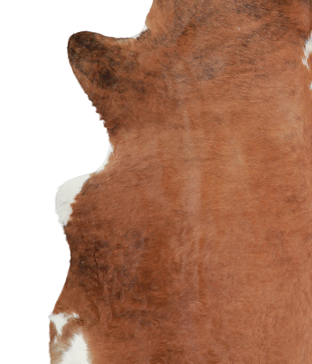 Medium Brindle X-Large Brazilian Cowhide Rug 6'9"H x 6'8"W #A21685 by 
