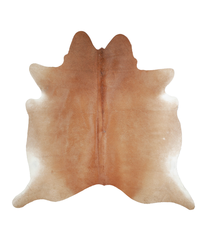 Solid Brown X-Large Brazilian Cowhide Rug 6'8"H x 6'9"W #A21691 by Hudson Hides