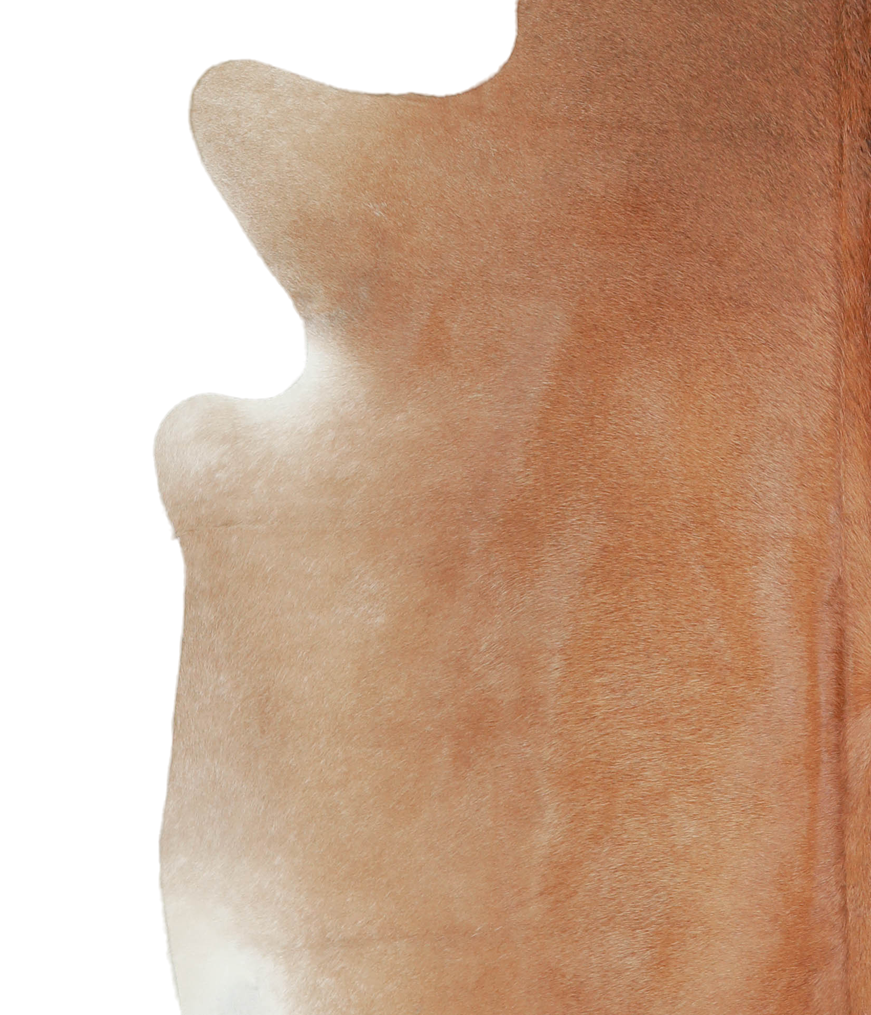 Solid Brown Cowhide Rug #A21691