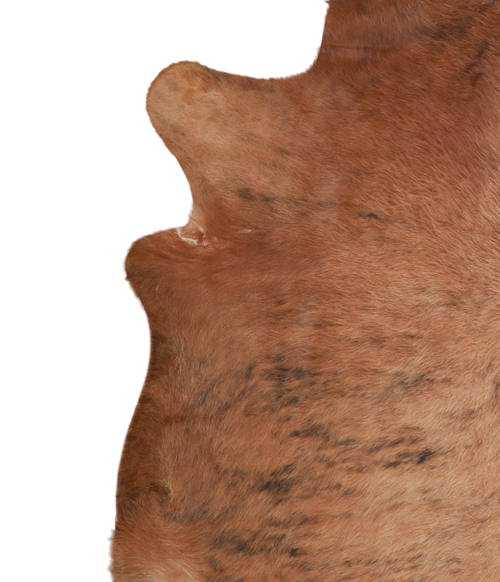 Medium Brindle X-Large Brazilian Cowhide Rug 6'11"H x 6'9"W #A21695 by Hudson Hides