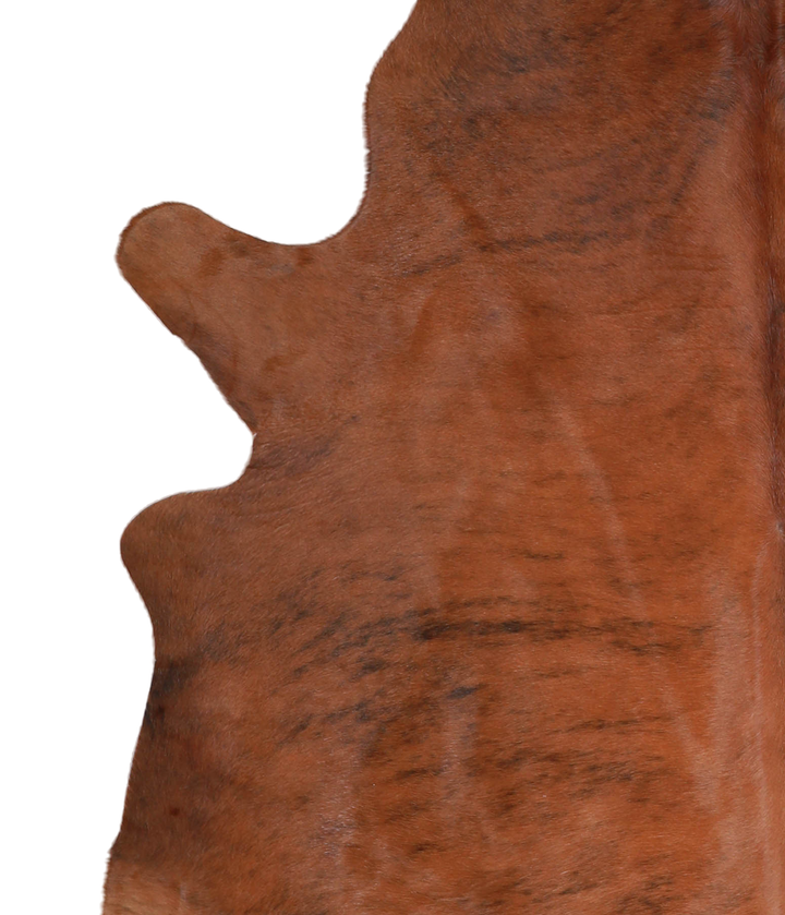 Medium Brindle X-Large Brazilian Cowhide Rug 6'5"H x 6'4"W #A21697 by Hudson Hides