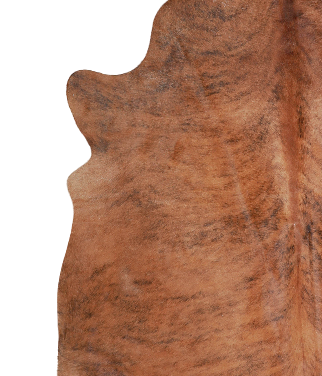Medium Brindle X-Large Brazilian Cowhide Rug 7'0"H x 6'11"W #A21698 by
