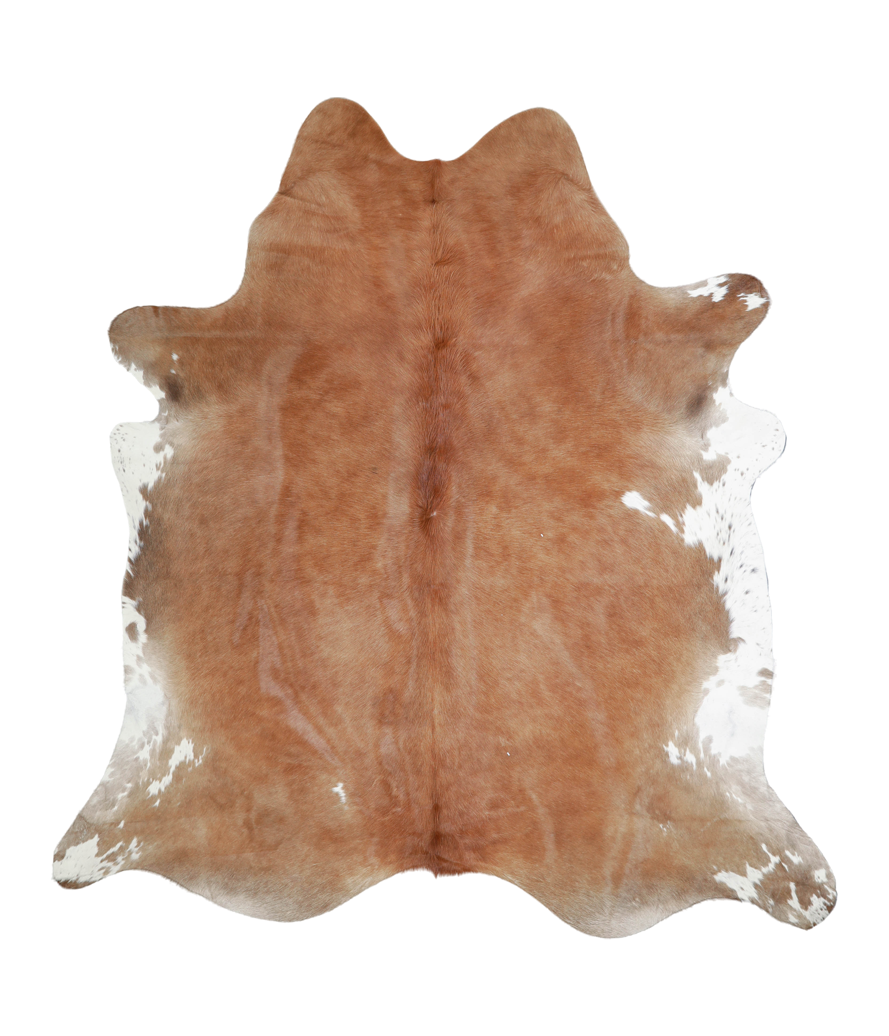 Brown and White Regular Cowhide Rug #A21751
