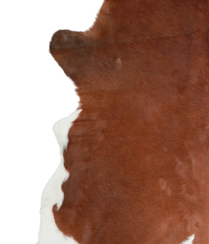 Brown and White X-Large Brazilian Cowhide Rug 6'11"H x 6'7"W #A21783 by Hudson Hides