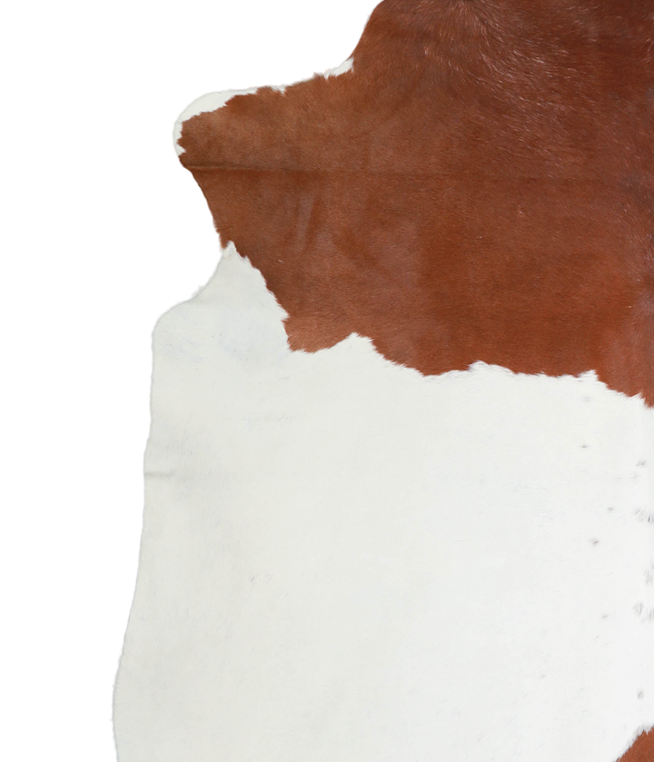 Brown and White XX-Large Brazilian Cowhide Rug 8'1"H x 7'6"W #A21788 by Hudson Hides