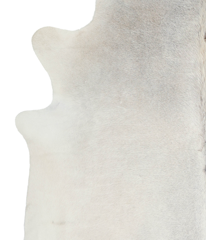 Medium Grey XX-Large Brazilian Cowhide Rug 7'10"H x 7'2"W #A21809 by Hudson Hides