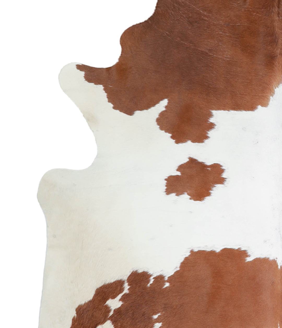Brown and White X-Large Brazilian Cowhide Rug 7'2"H x 6'7"W #A21889 by