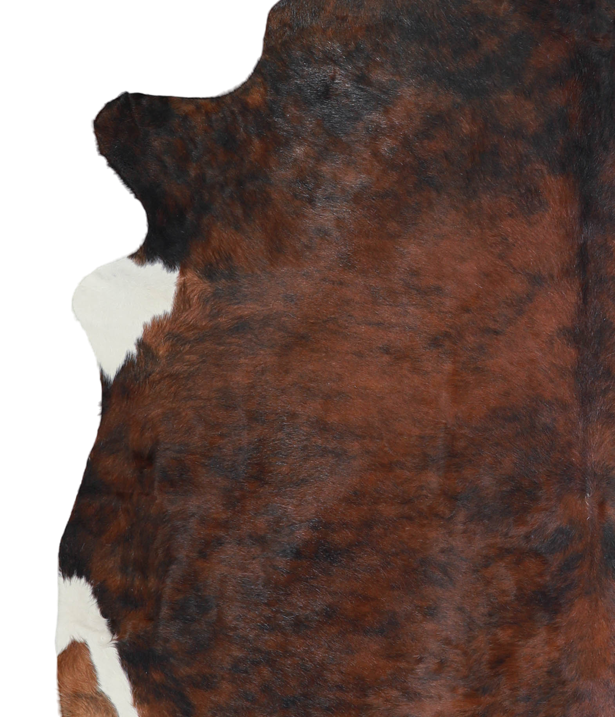 Dark Brindle X-Large Brazilian Cowhide Rug 6'5"H x 6'5"W #A21906 by Hudson Hides