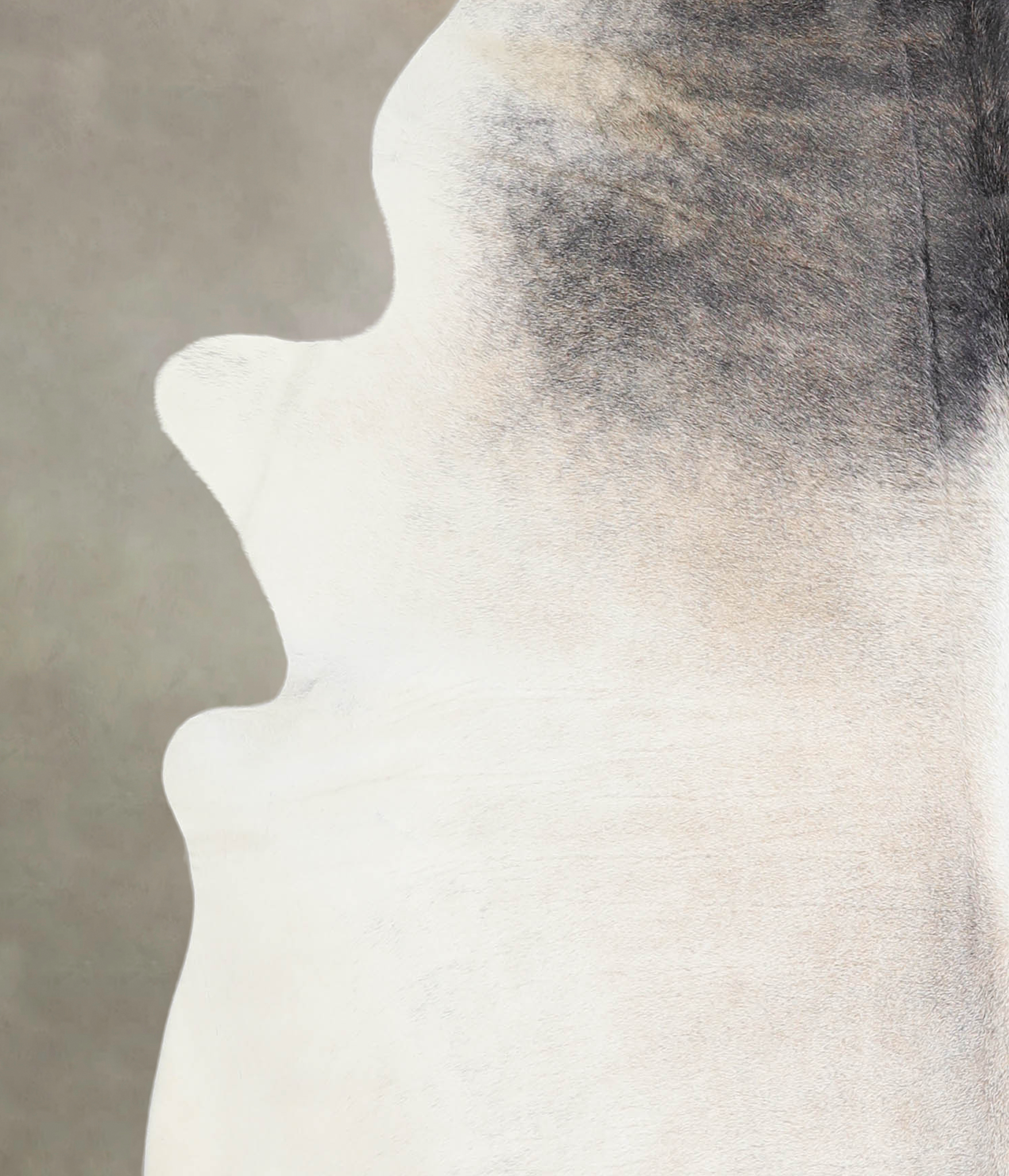 Grey with Beige Cowhide Rug #A21962