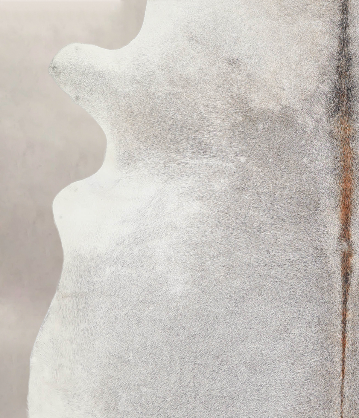 Medium Grey X-Large Brazilian Cowhide Rug 6'7"H x 6'4"W #A21982 by Hudson Hides