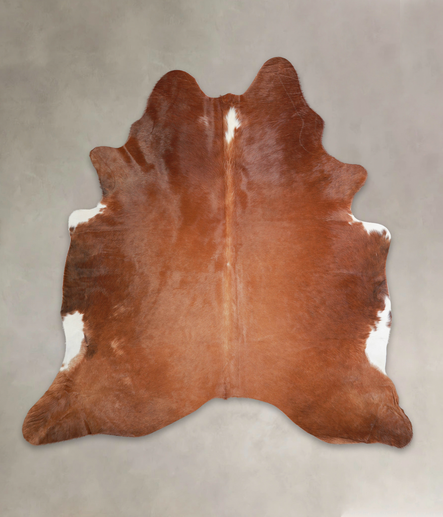 Solid Brown X-Large Brazilian Cowhide Rug 6'11"H x 6'10"W #A21999 by Hudson Hides