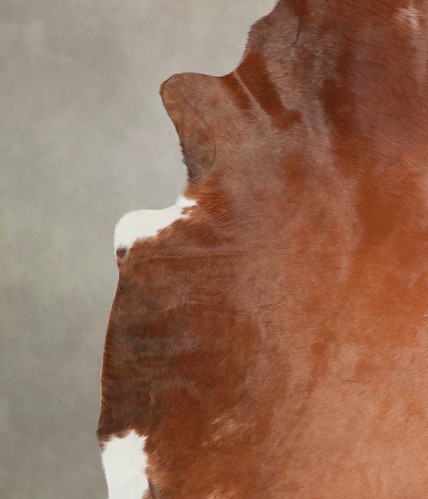 Solid Brown Cowhide Rug #A21999