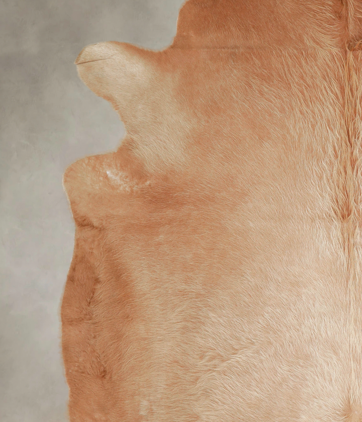 Beige XX-Large Brazilian Cowhide Rug 8'0"H x 7'5"W #A22012 by Hudson Hides