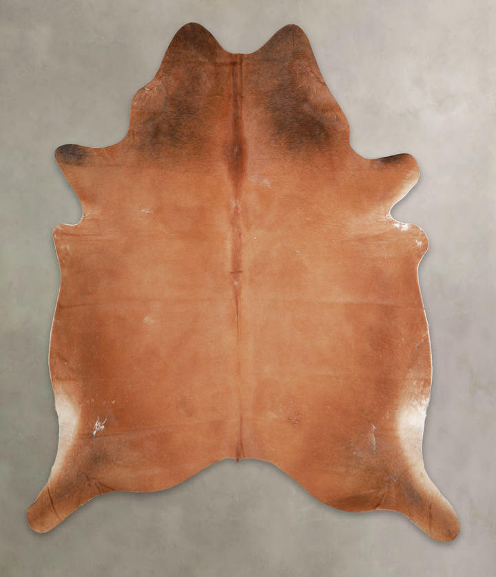 Solid Brown XX-Large Brazilian Cowhide Rug 7'11"H x 6'6"W #A22018 by Hudson Hides
