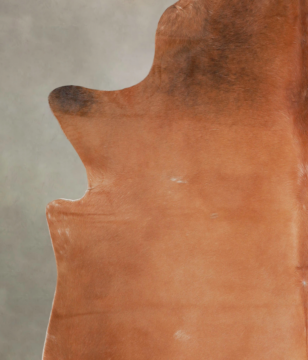 Solid Brown XX-Large Brazilian Cowhide Rug 7'11"H x 6'6"W #A22018 by H