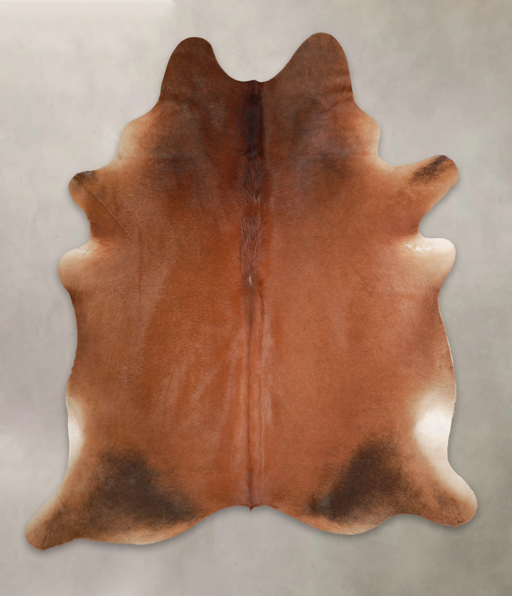 Solid Brown X-Large Brazilian Cowhide Rug 7'6"H x 6'6"W #A22032 by Hudson Hides