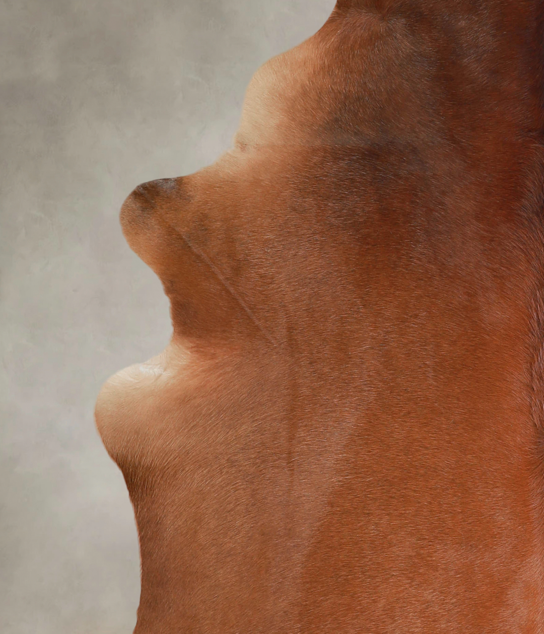 Solid Brown X-Large Brazilian Cowhide Rug 7'6"H x 6'6"W #A22032 by Hud