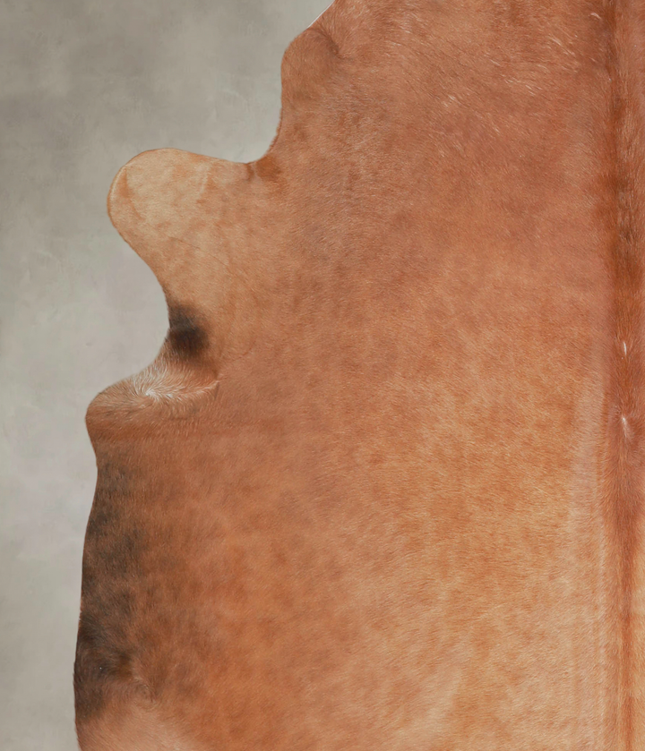 Solid Brown XX-Large Brazilian Cowhide Rug 7'7"H x 6'10"W #A22039 by Hudson Hides