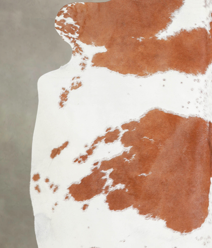 Brown and White X-Large Brazilian Cowhide Rug 6'5"H x 6'9"W #A22046 by Hudson Hides