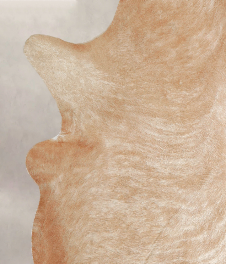 Beige X-Large Brazilian Cowhide Rug 7'2"H x 6'2"W #A22065 by Hudson Hides