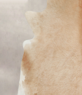 Beige XX-Large Brazilian Cowhide Rug 7'8"H x 7'7"W #A22068 by Hudson Hides