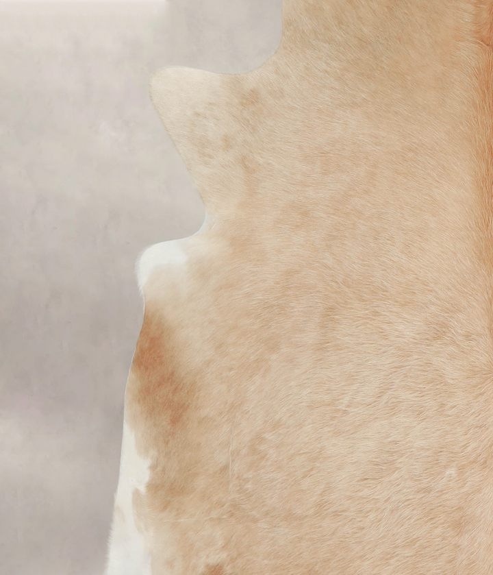 Beige XX-Large Brazilian Cowhide Rug 7'8"H x 7'7"W #A22068 by Hudson Hides