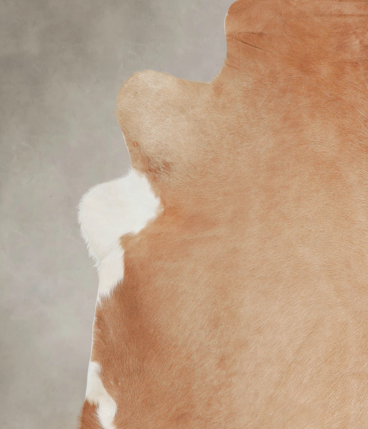 Beige XX-Large Brazilian Cowhide Rug 8'0"H x 7'0"W #A22071 by Hudson Hides