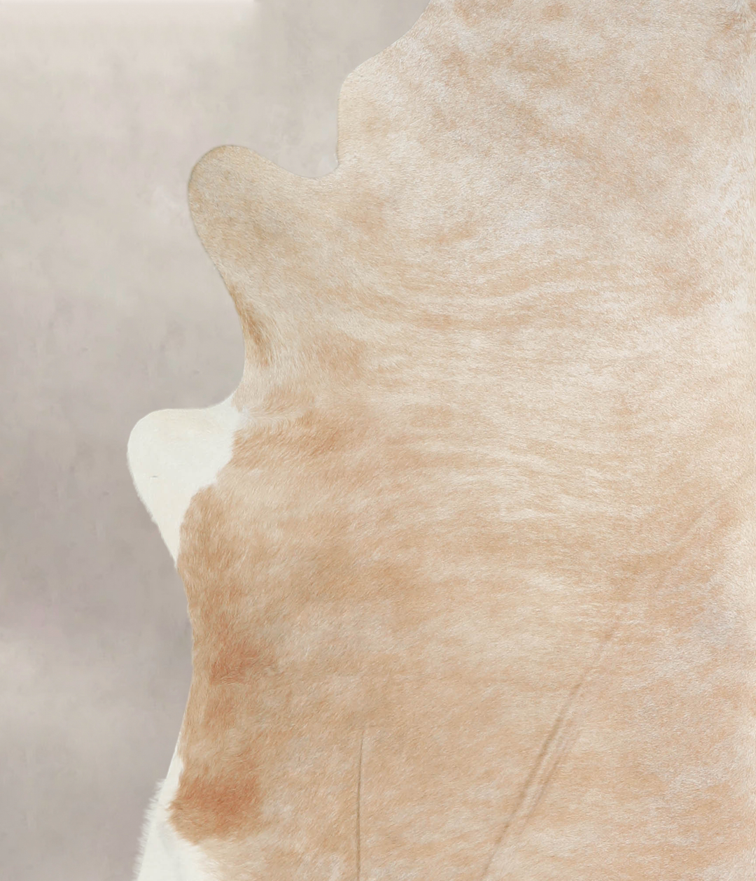 Beige XX-Large Brazilian Cowhide Rug 7'9"H x 7'0"W #A22081 by Hudson H