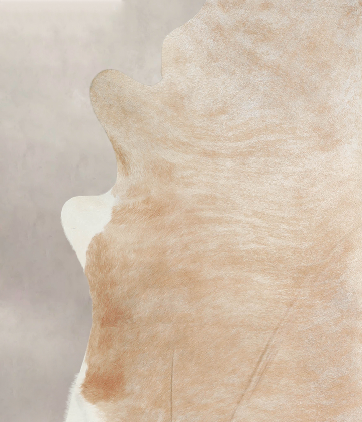 Beige XX-Large Brazilian Cowhide Rug 7'9"H x 7'0"W #A22081 by Hudson Hides
