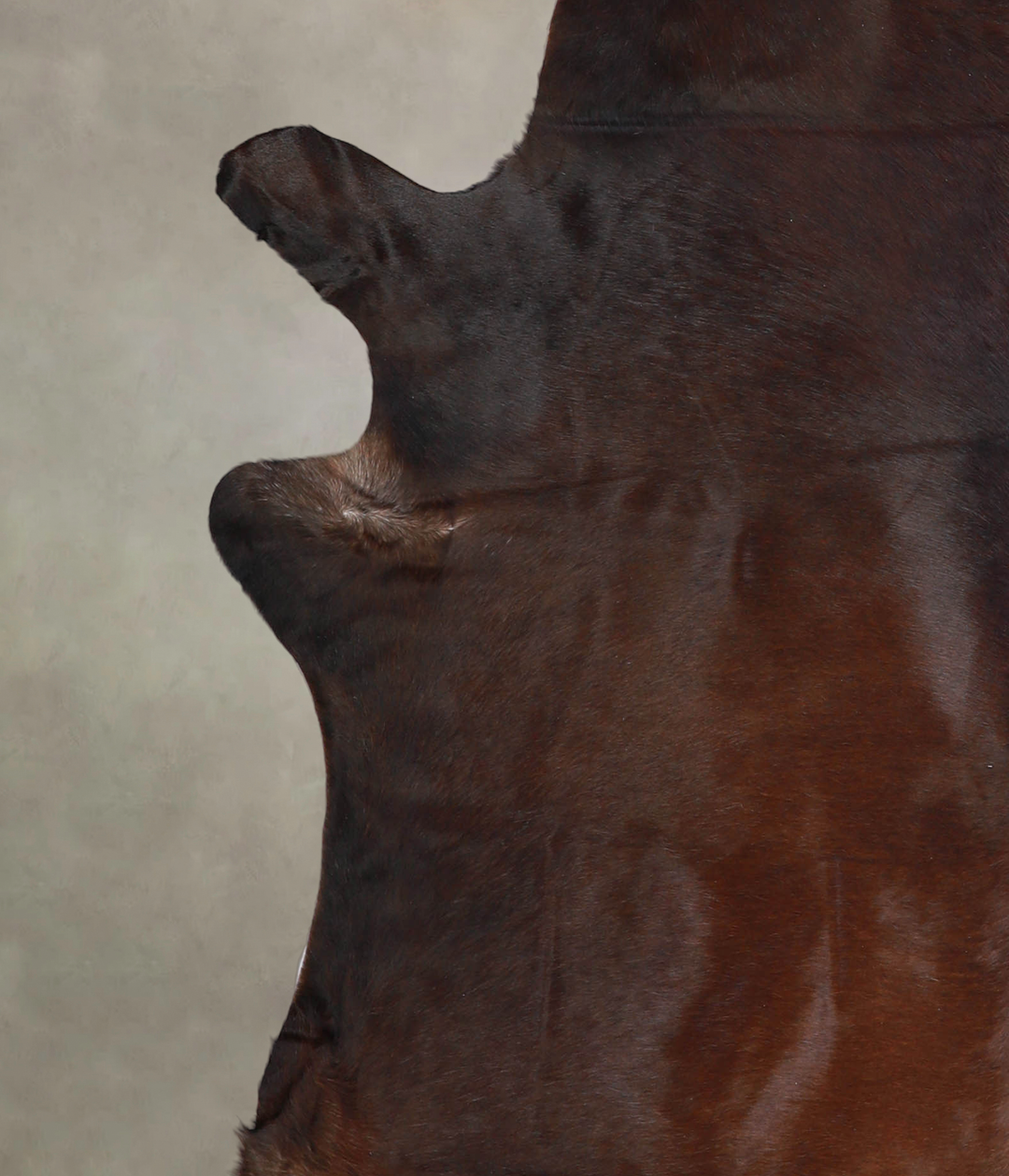 Chocolate X-Large Brazilian Cowhide Rug 7'0"H x 6'5"W #A22093 by Hudso