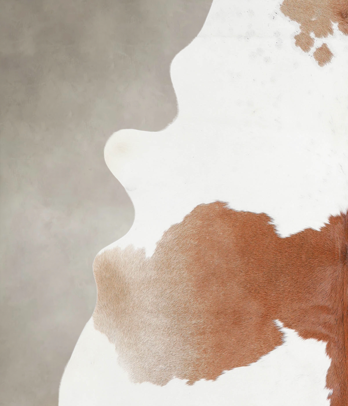 Brown and White X-Large Brazilian Cowhide Rug 6'9"H x 6'5"W #A22146 by Hudson Hides