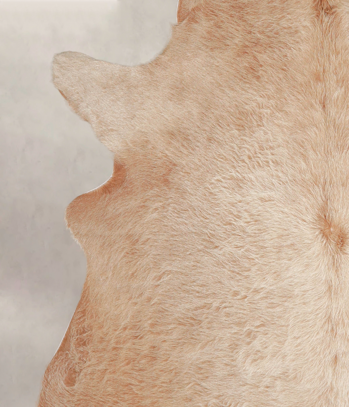 Beige X-Large Brazilian Cowhide Rug 6'8"H x 6'2"W #A22154 by Hudson Hides