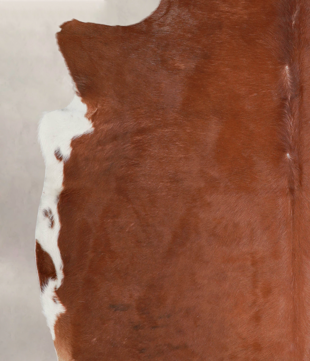 Solid Brown X-Large Brazilian Cowhide Rug 6'7"H x 6'7"W #A22162 by Hud