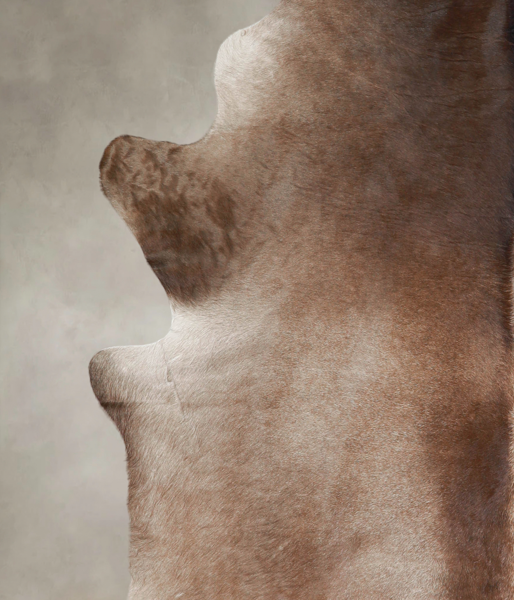 Grey with Beige Cowhide Rug #A22369