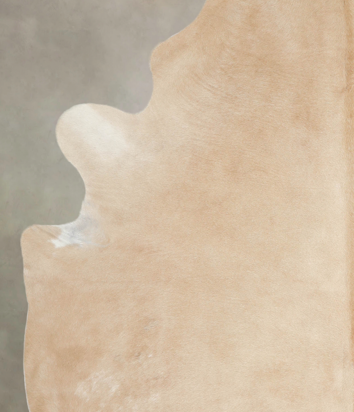 Beige X-Large Brazilian Cowhide Rug 7'7"H x 6'5"W #A22408 by Hudson Hides
