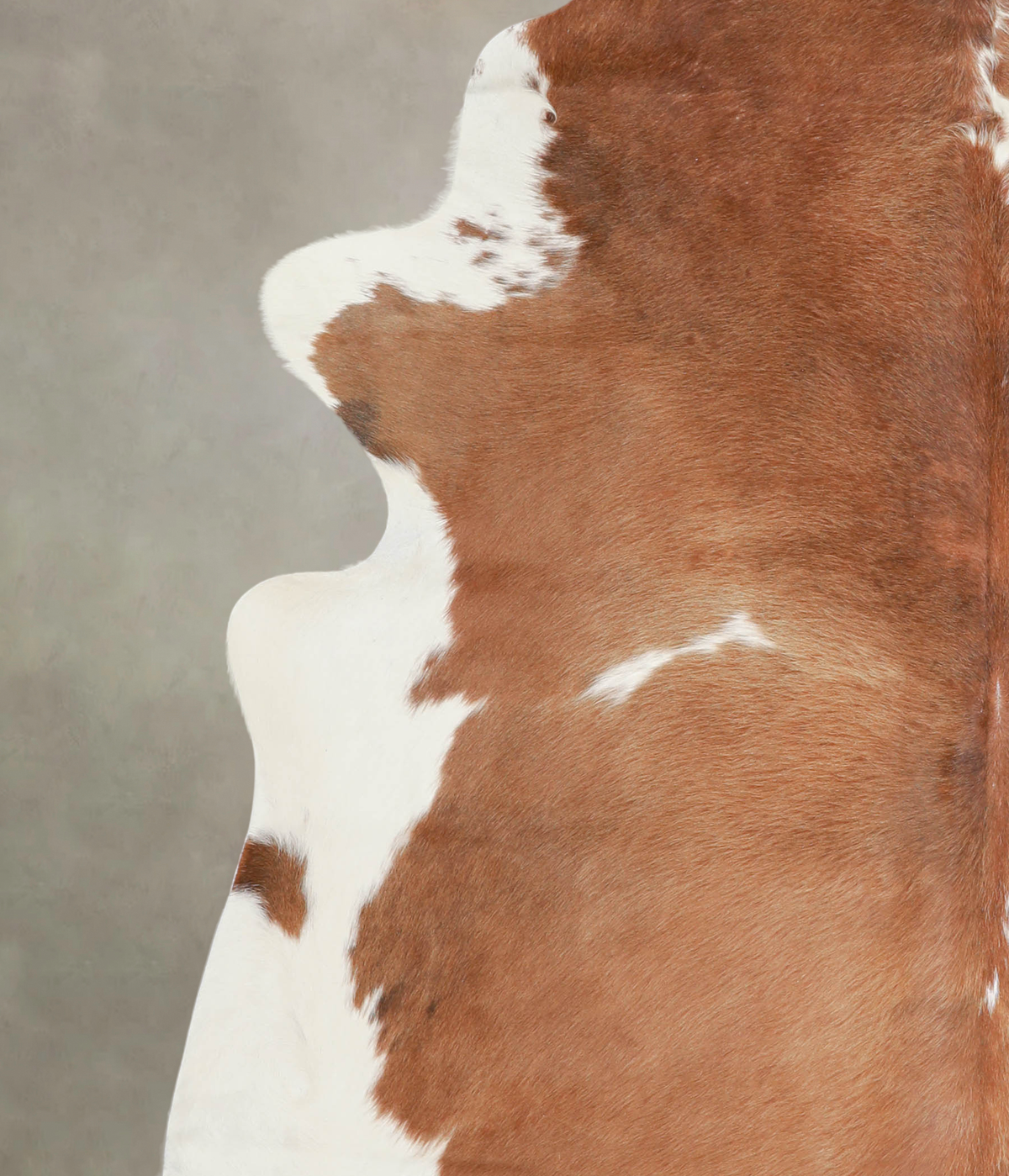 Brown and White XX-Large Brazilian Cowhide Rug 7'7"H x 7'4"W #A22412 by Hudson Hides