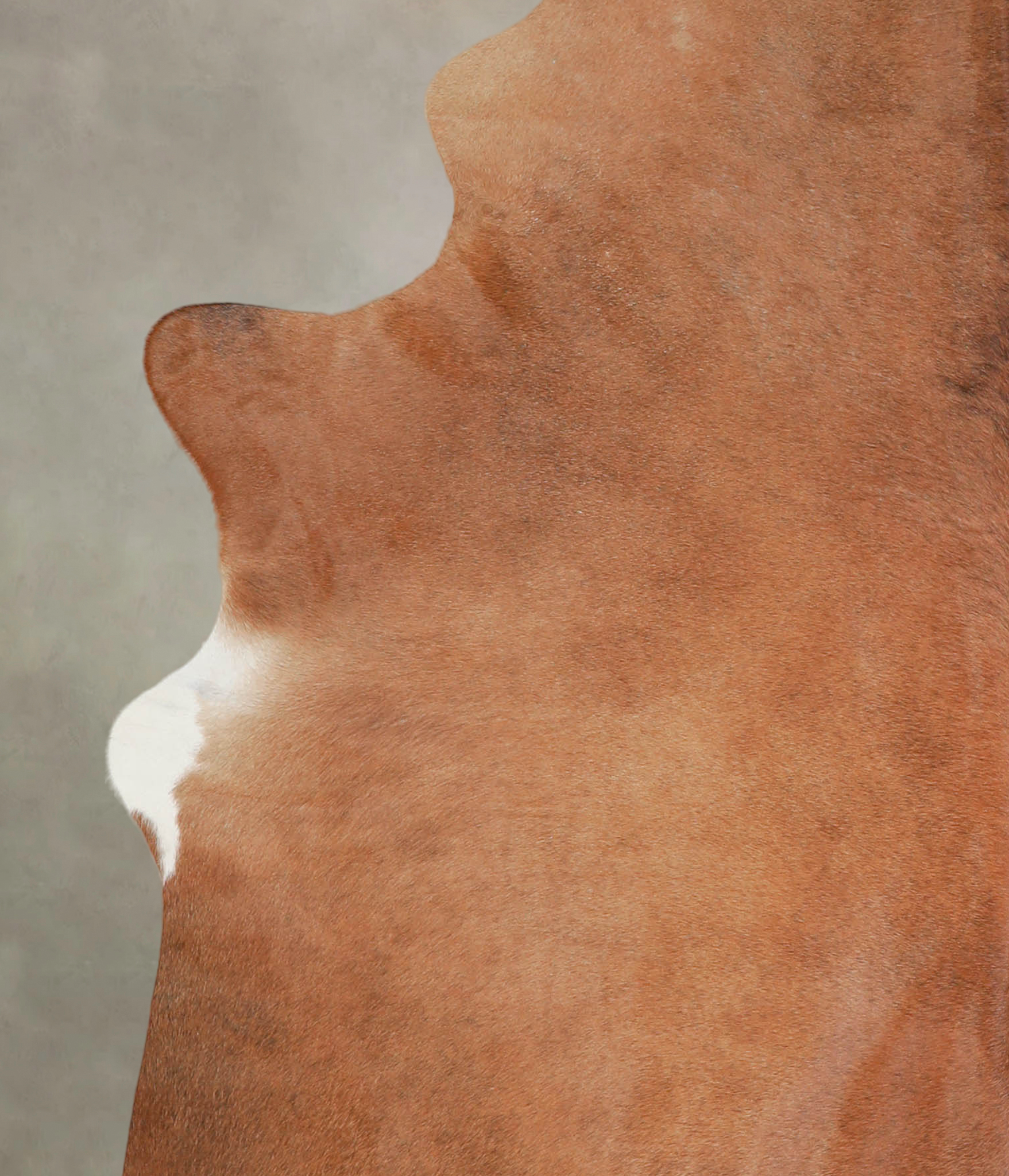 Solid Brown Cowhide Rug #A22440
