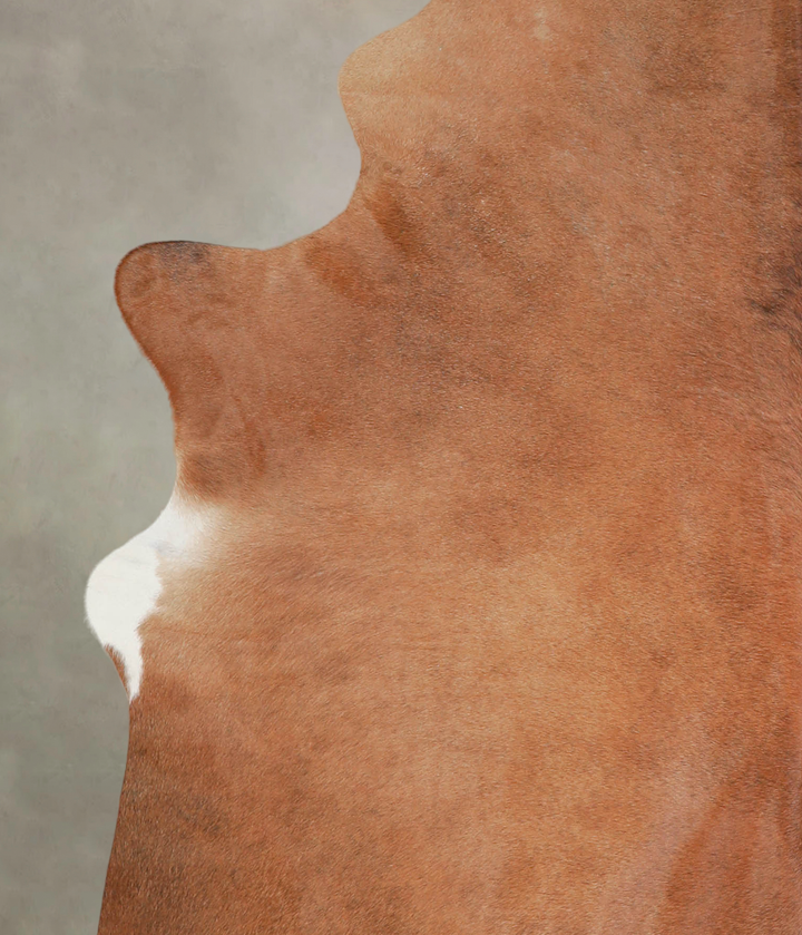 Solid Brown X-Large Brazilian Cowhide Rug 7'5"H x 6'2"W #A22440 by Hudson Hides