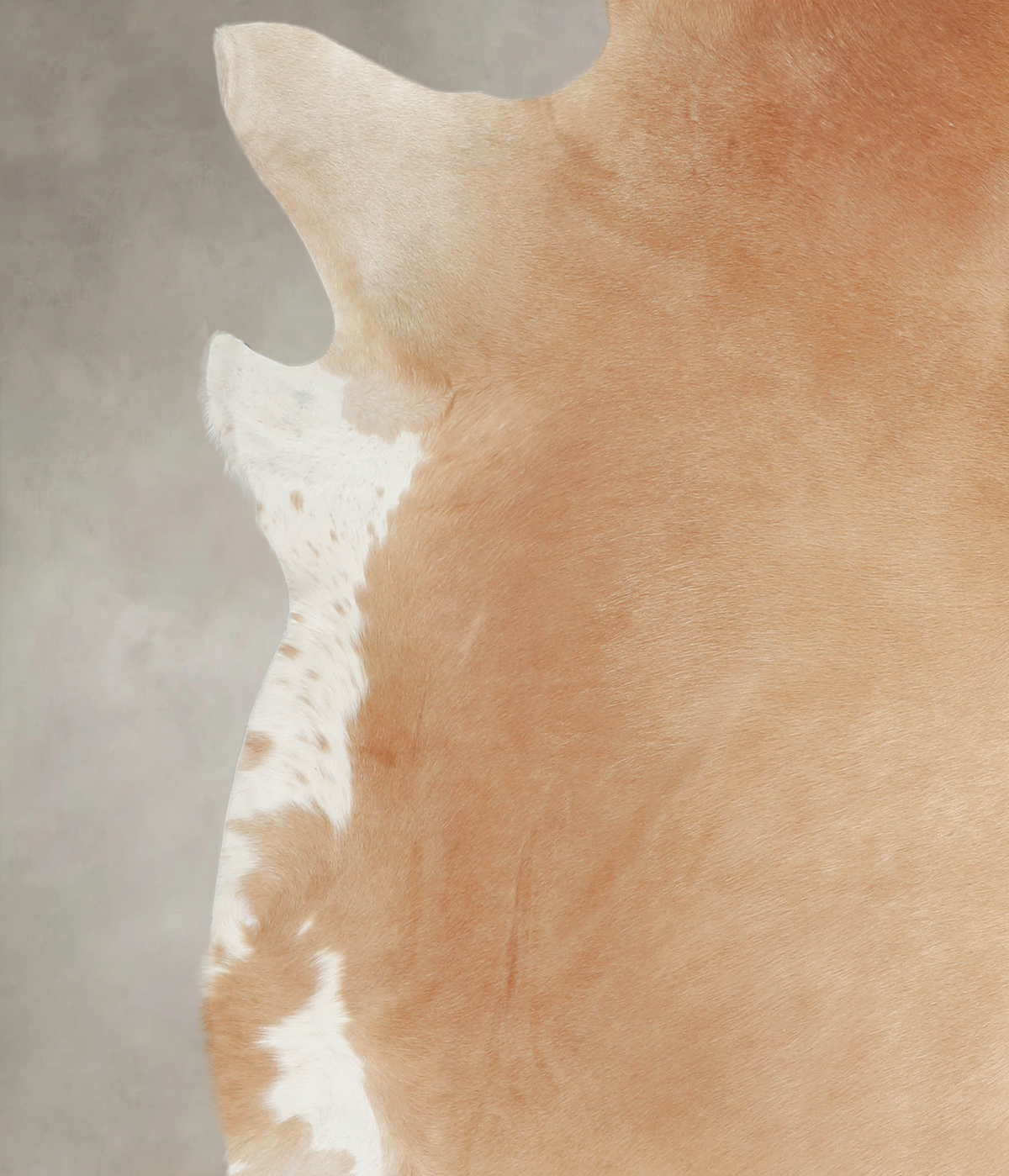 Beige XX-Large Brazilian Cowhide Rug 7'3"H x 7'2"W #A22462 by Hudson Hides