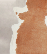 Hereford XX-Large Brazilian Cowhide Rug 7'7"H x 7'2"W #A22482 by Hudson Hides