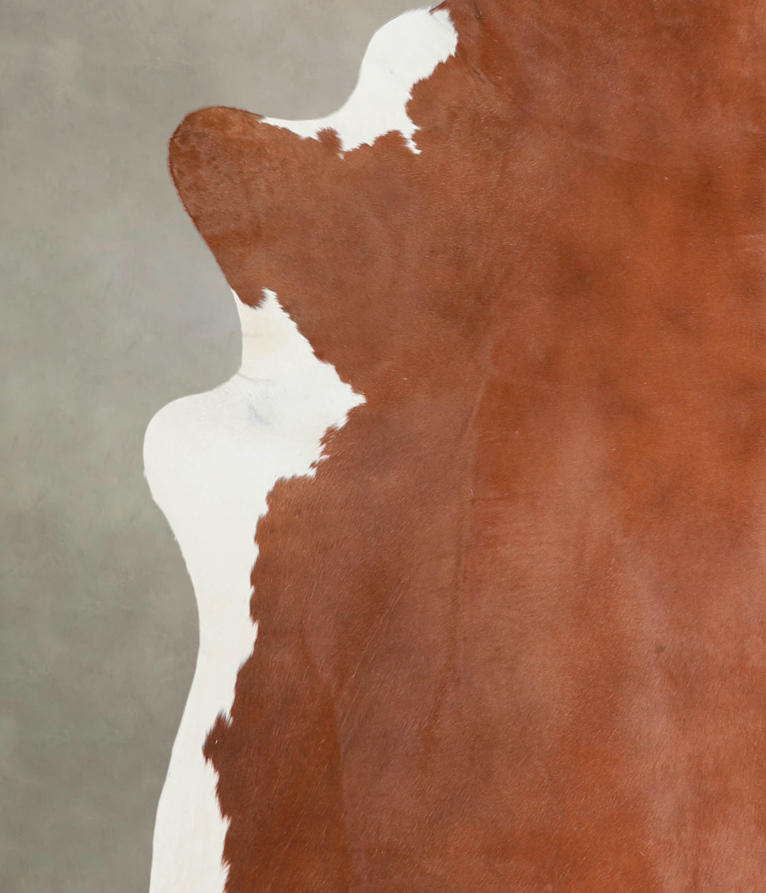 Brown and White Regular X-Large Brazilian Cowhide Rug 7'6"H x 6'6"W #A