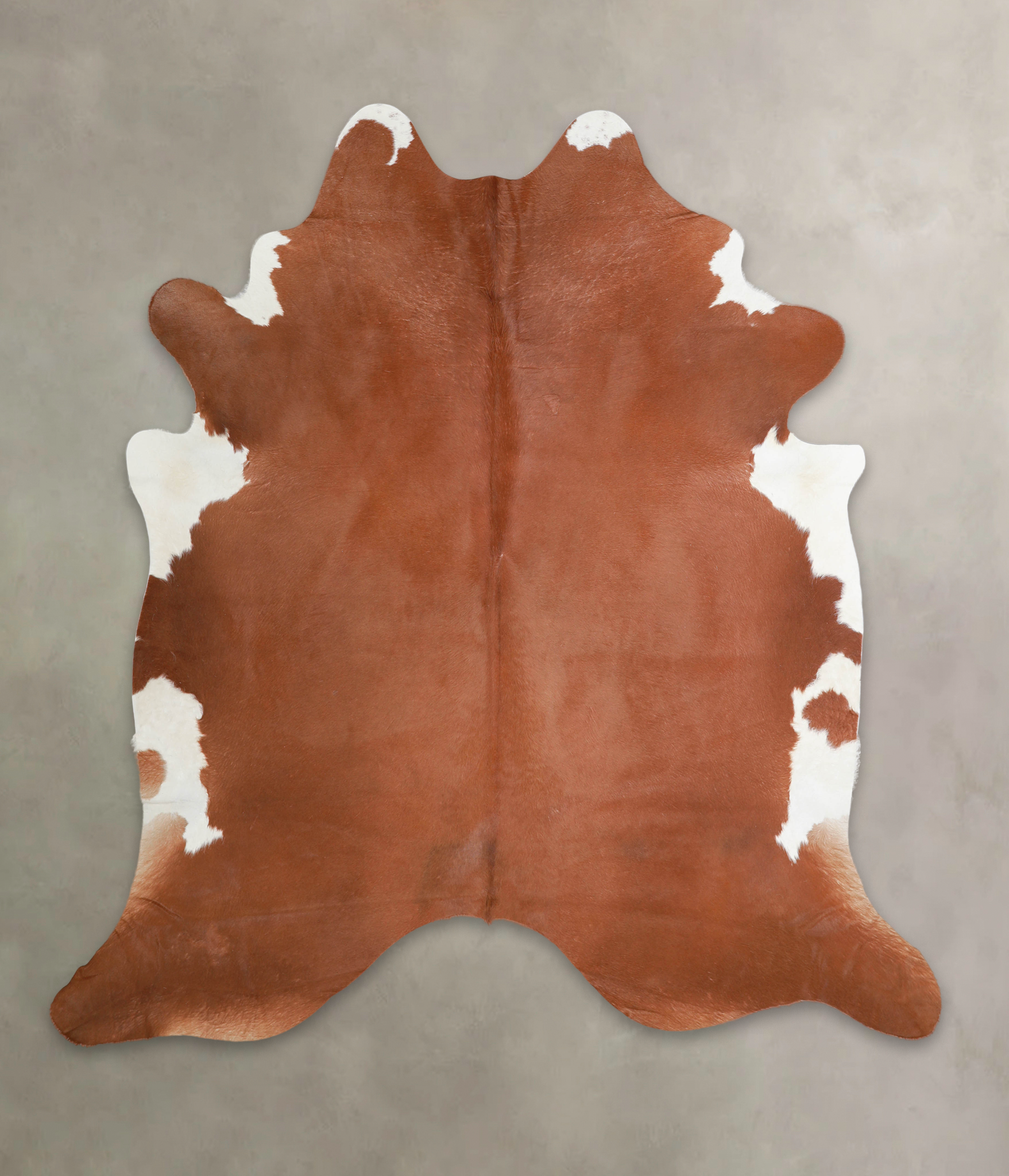 Brown and White Regular Cowhide Rug #A22552