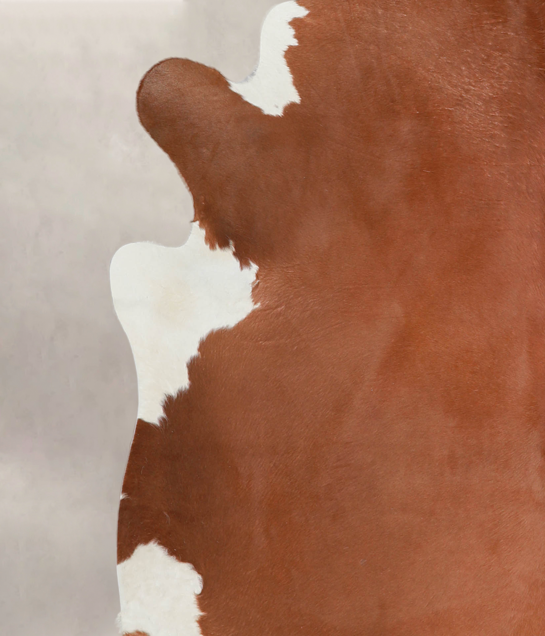 Brown and White Regular Cowhide Rug #A22552