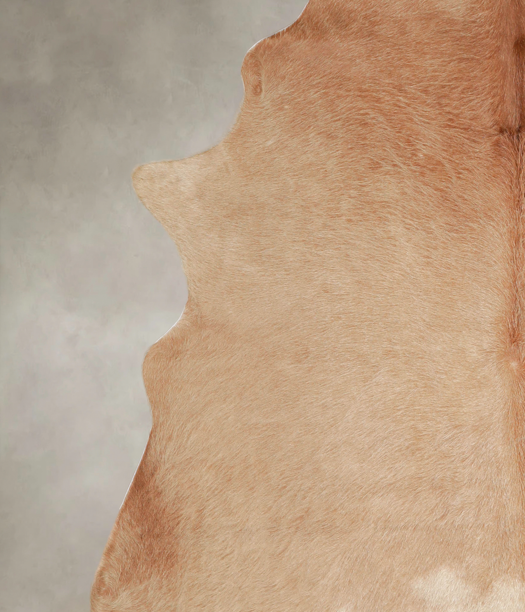 Beige XX-Large Brazilian Cowhide Rug 7'7"H x 6'10"W #A22554 by Hudson 