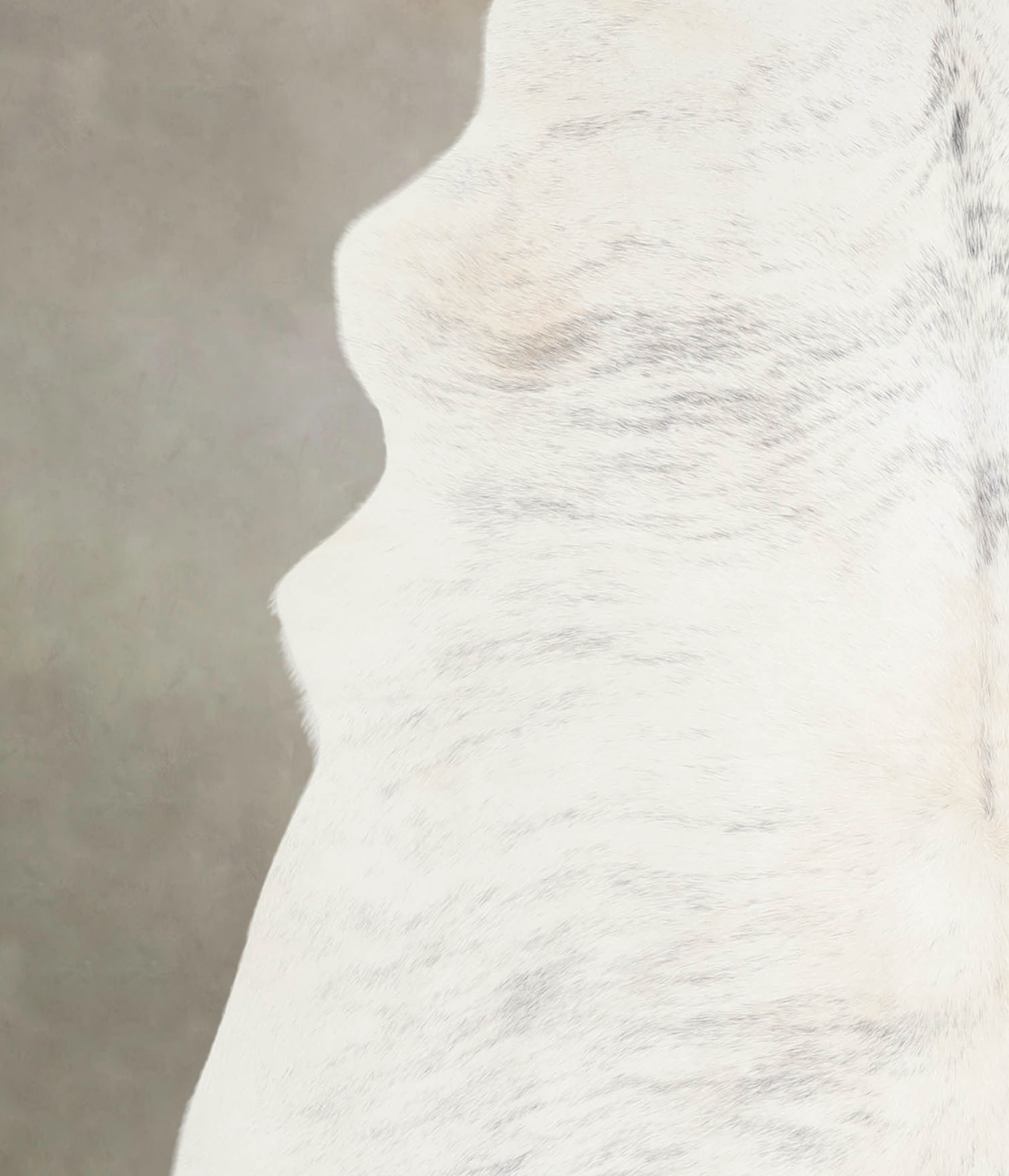 Grey Brindle Cowhide Rug #A22829