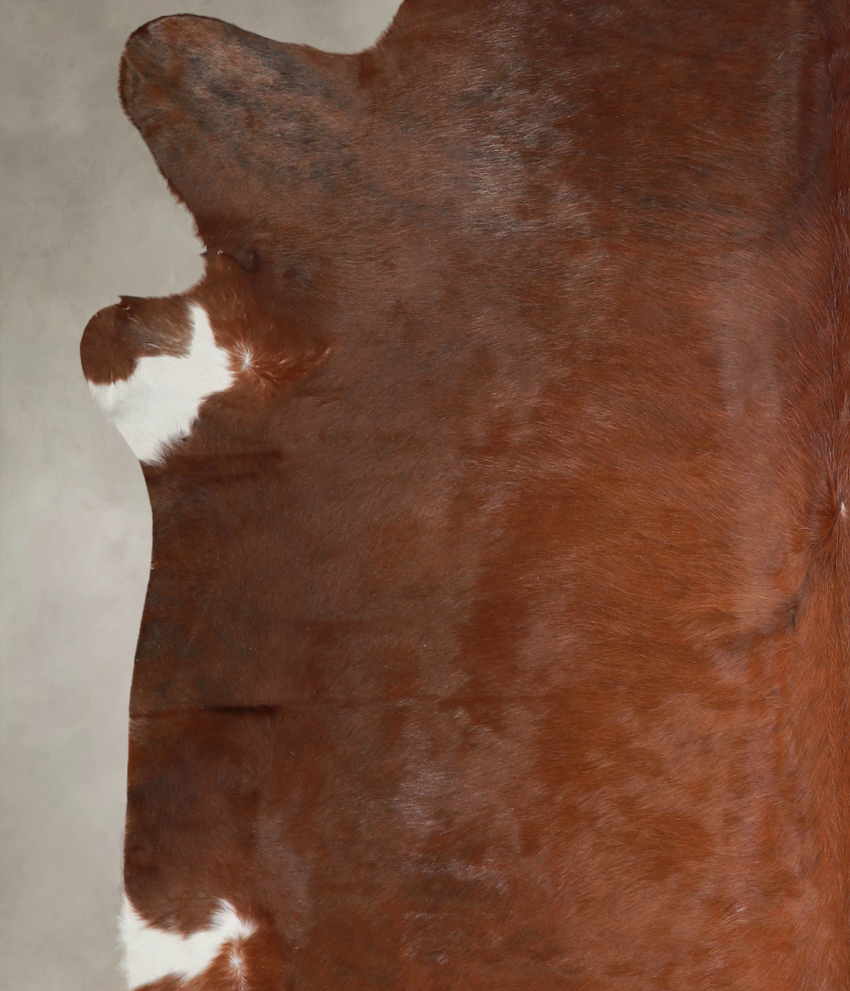 Solid Brown X-Large Brazilian Cowhide Rug 6'10"H x 7'0"W #A22978 by Hudson Hides