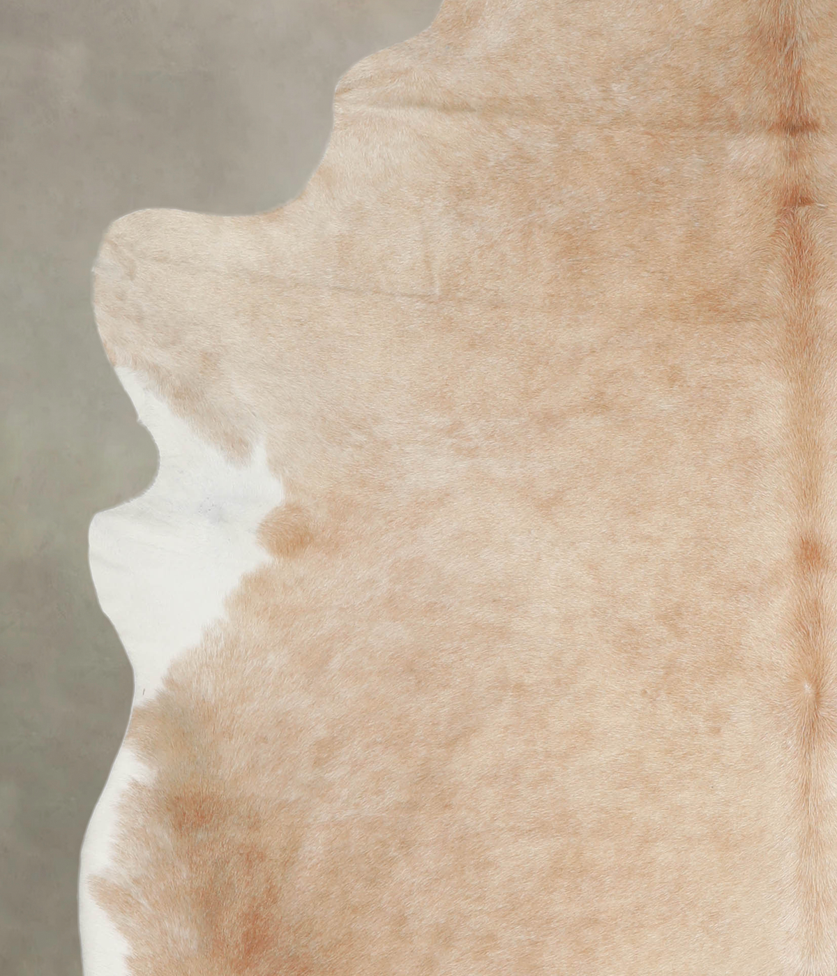 Beige XX-Large Brazilian Cowhide Rug 7'10"H x 6'9"W #A23025 by Hudson Hides